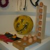Macef 2011