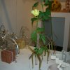 Macef 2011