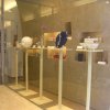 DSCN6070